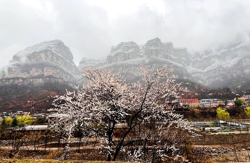 雪落太行，美成一幅天然水墨画。武龙飞摄